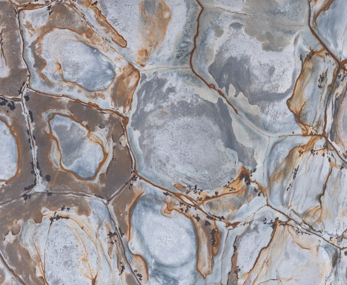 Brasil Fossil