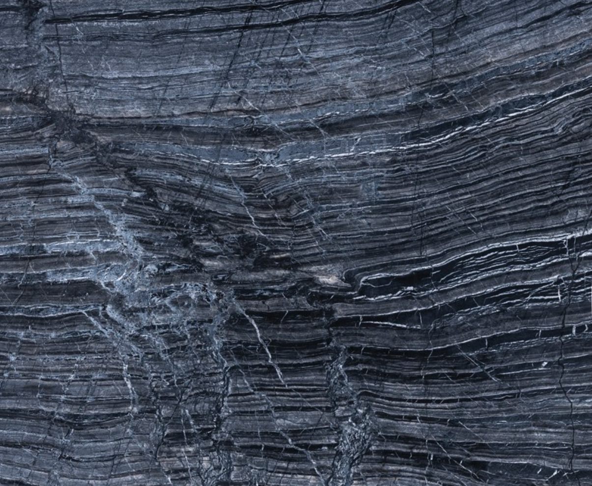 Ancient Wood
